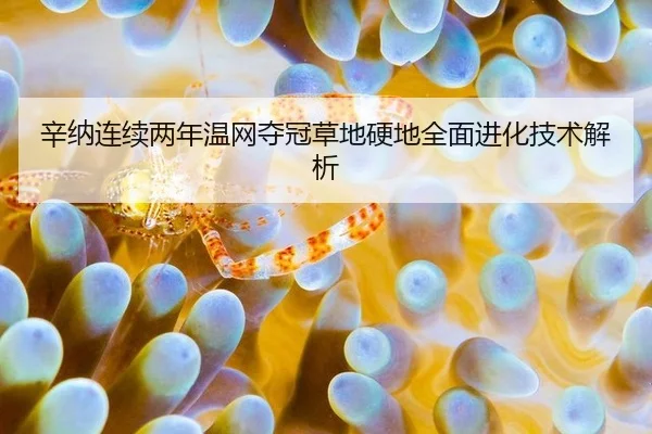 辛纳连续两年温网夺冠草地硬地全面进化技术解析