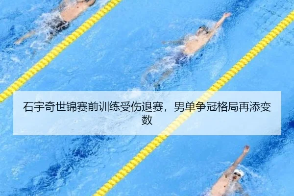 石宇奇世锦赛前训练受伤退赛，男单争冠格局再添变数